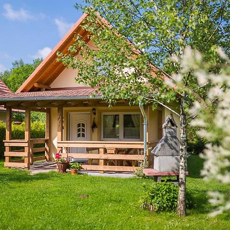 Domki Nad Stawem. Villa Polanczyk Exterior photo