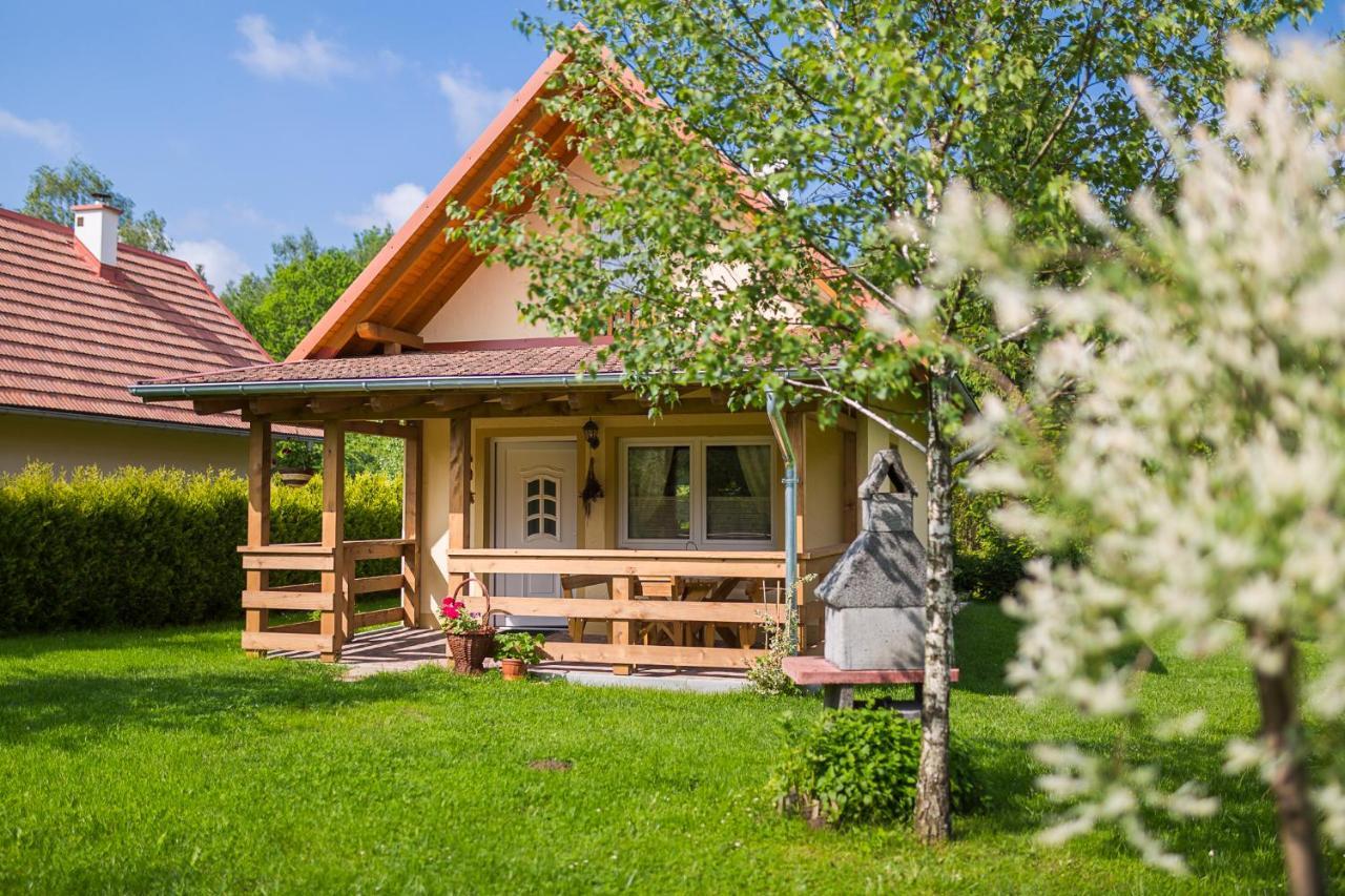 Domki Nad Stawem. Villa Polanczyk Exterior photo