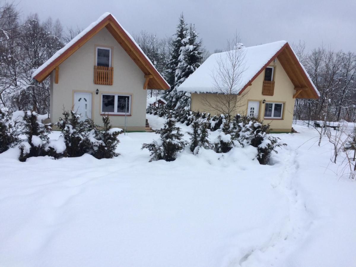 Domki Nad Stawem. Villa Polanczyk Exterior photo