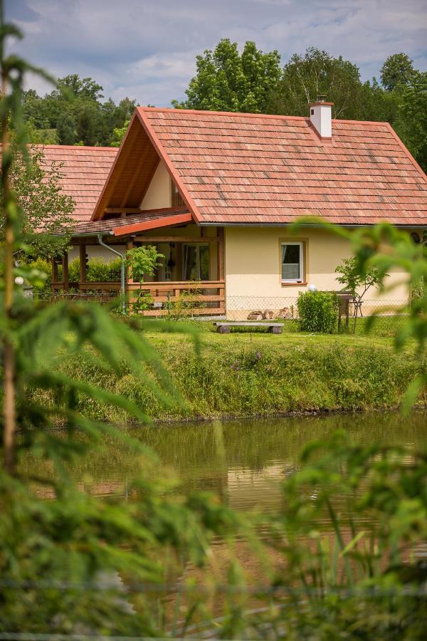 Domki Nad Stawem. Villa Polanczyk Exterior photo